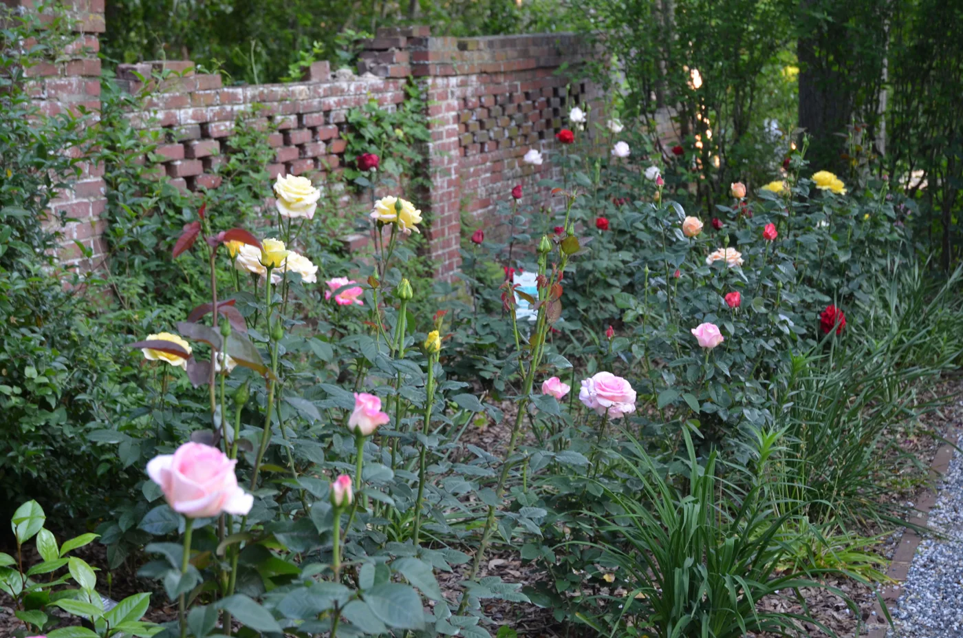 Burgwin-Wright House and Gardens, business photo 3