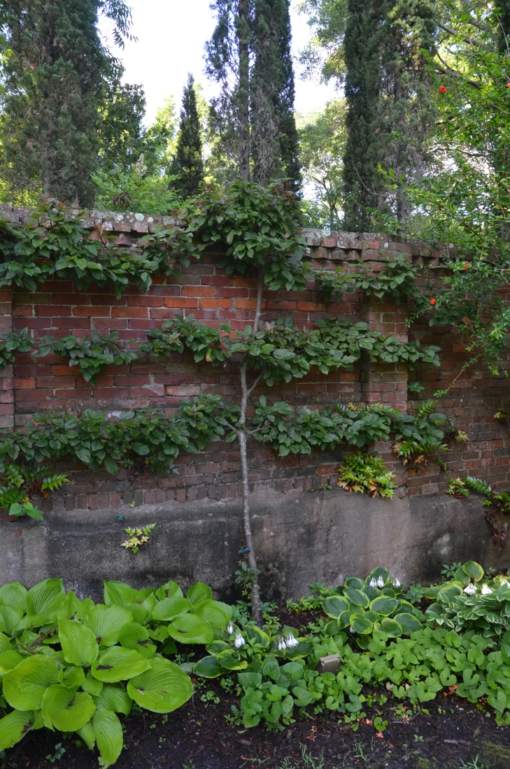 Burgwin-Wright House and Gardens, business photo 2