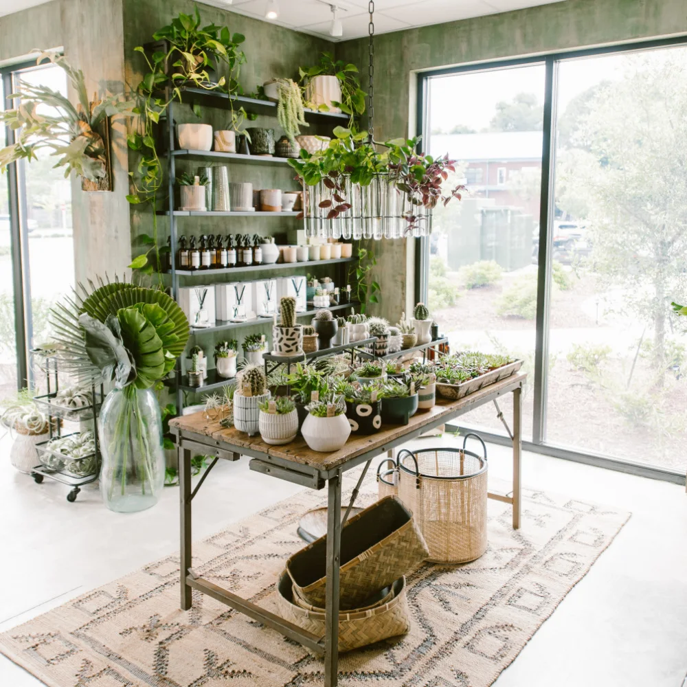 The Coastal Succulent business photo