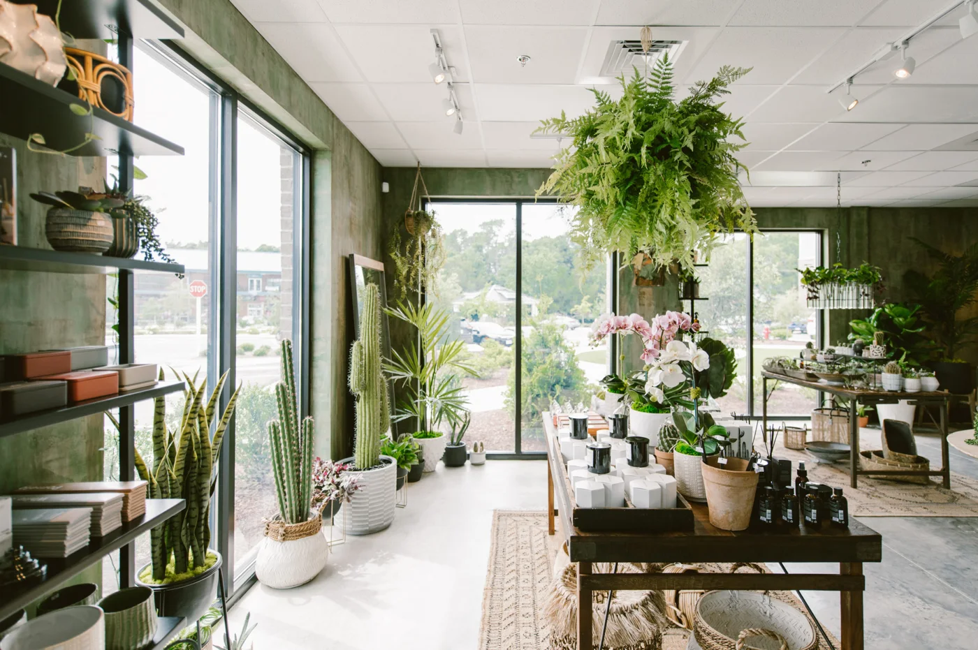 The Coastal Succulent, business photo 4